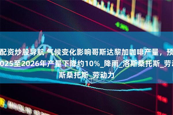配资炒股导航 气候变化影响哥斯达黎加咖啡产量，预计2025至2026年产量下降约10%_降雨_洛斯桑托斯_劳动力